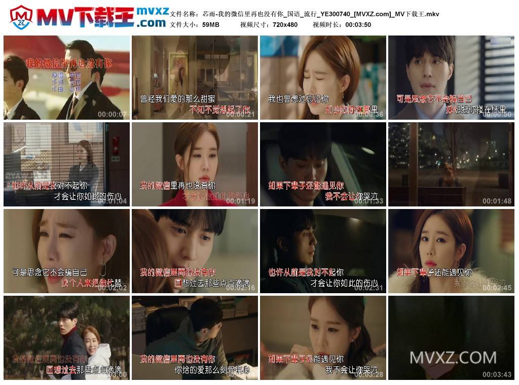 芯雨-我的微信里再也没有你_国语_流行_YE300740